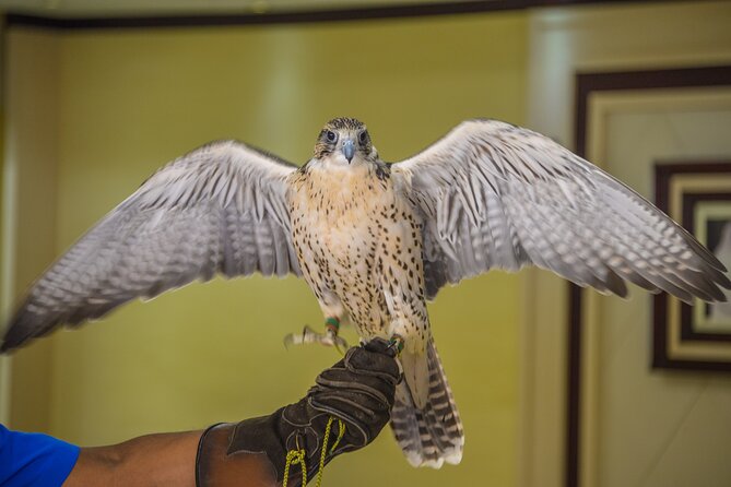 Falcon Hospital Tour Abu Dhabi - Pickup and Transportation Details
