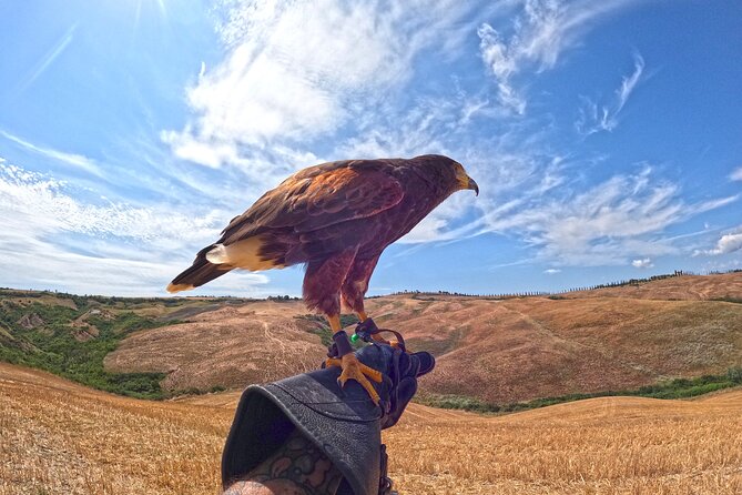 Falconry Experience in Tuscany - Flexible Booking and Cancellation Policy