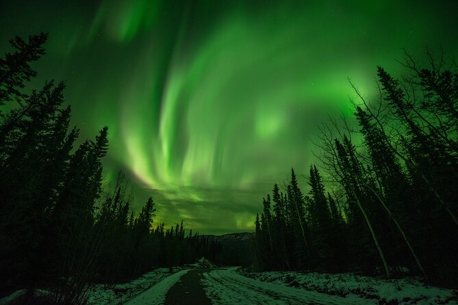 Fall Aurora Mushing Cart Ride Bucket List Adventure - Key Points