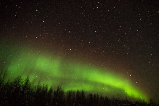 Fall Aurora Mushing Cart Ride Bucket List Adventure - Accessibility and Health Restrictions