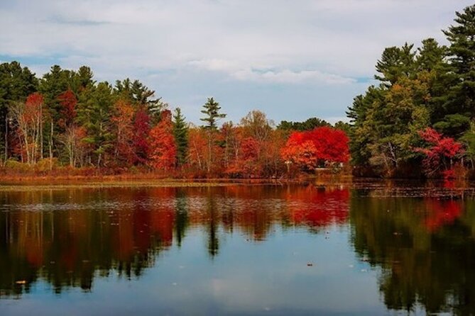 Fall Color Tour of Lake Leelanau With Licensed Guide - Key Points