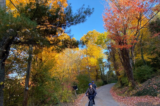 Fall Colors Bike Tour With Chattanooga Guided Adventures - Key Points