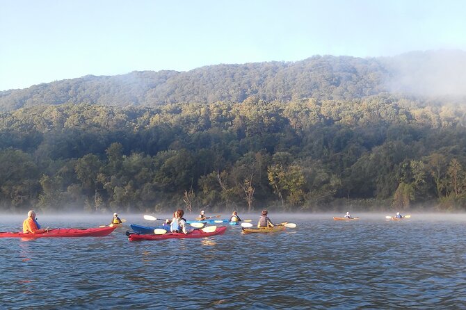 Fall Colors Kayak by Chattanooga Guided Adventures - Paddling the Tennessee River