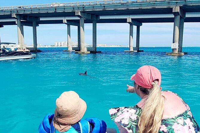 Fall/ Winter Destin Harbor Sightseeing Dolphin Cruise - Practical Details for Your Planning