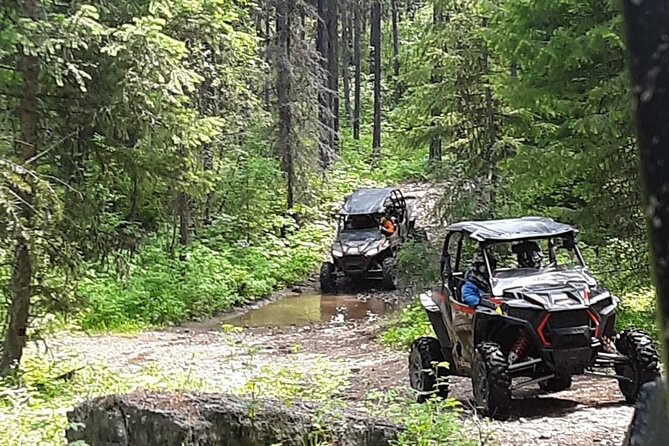 Falling for Montana Tour 4-seat RZR Full Day at Action Rentals MT - Included Gear and Fees