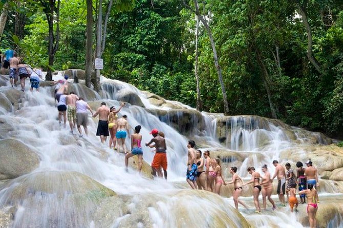 Falls Flyer Zipline and Dunns River Falls Adventure Tour From Falmouth - Guest Reviews