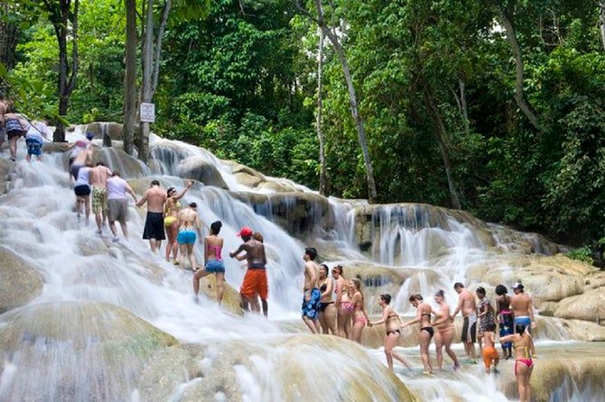 Falls Flyer Zipline and Dunns River Falls Adventure Tour From Kingston - Booking Information
