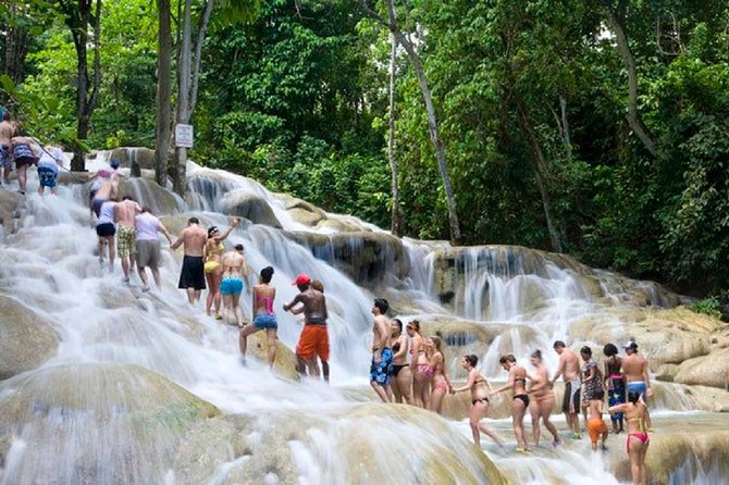 Falls Flyer Zipline and Dunns River Falls Adventure Tour From Negril - Exploring Dunns River Falls