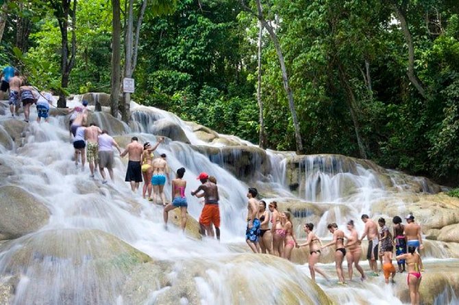 Falls Flyer Zipline and Dunns River Falls Adventure Tour From Ocho Rios - Dunns River Falls