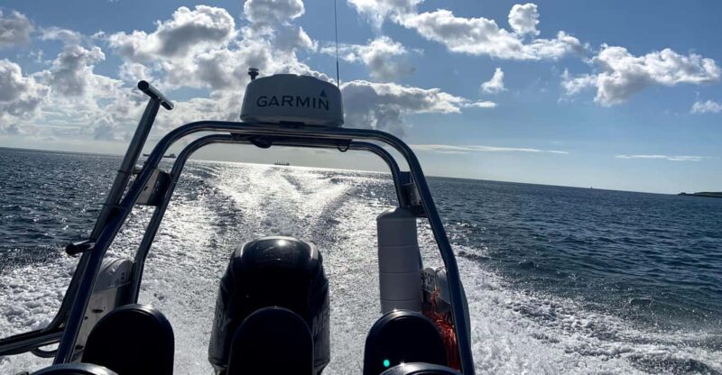 Falmouth: 1/2 Day RIB Tour - Cancellation and Flexibility
