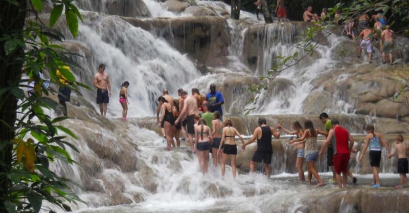 Falmouth: Bamboo Beach Club & Dunns River Falls - Key Points