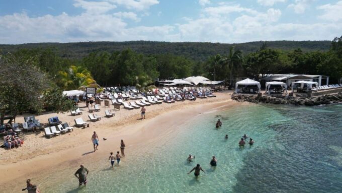Falmouth: Bamboo Beach Club VIP Access + Lunch & Cocktails - Tour Operator and Contact Information