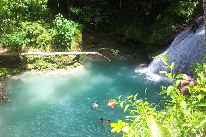 Falmouth Dunns River Falls and Blue Hole Excursion - Itinerary and Activities