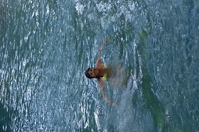 Falmouth Dunns River Falls and Blue Hole Excursion - Customer Experiences