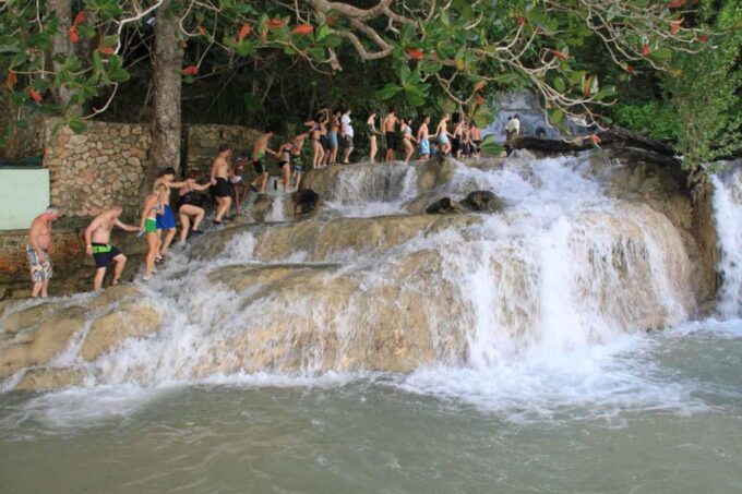 Falmouth: Dunn's River Falls & Bamboo Beach Club VIP Access - Suitability and Accessibility