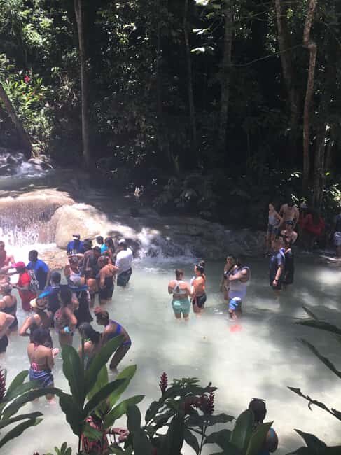 Falmouth: Dunn's River Falls, Blue Hole, and Zipline Tour - Who Should Consider This Tour?