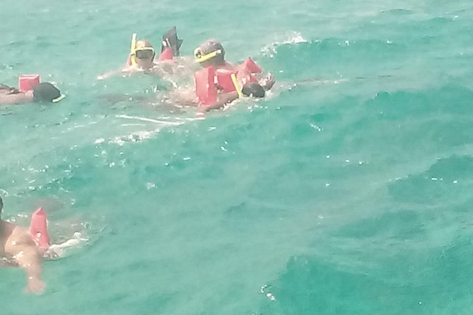 Falmouth Shore Excursion: Private Snorkel Tour - Whats Included in the Package