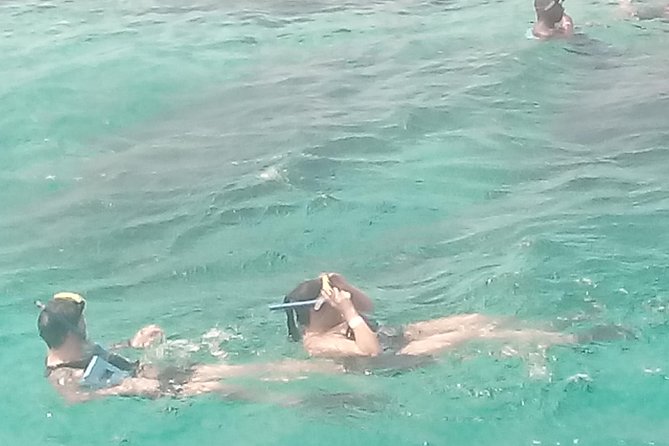 Falmouth Shore Excursion: Private Snorkel Tour - Pickup and Drop-off Details