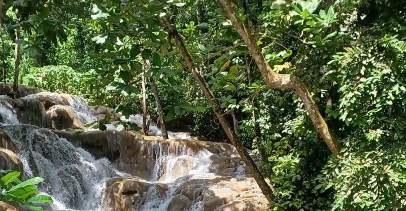 Falmouth To Dunn's River Falls - Key Points