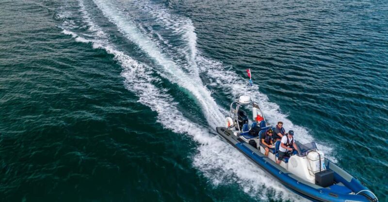Falmouth: Two Hour RIB Tour - Good To Know