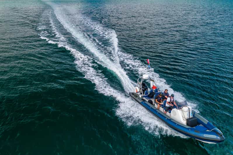 Falmouth: Two Hour RIB Tour - Itinerary and Experience