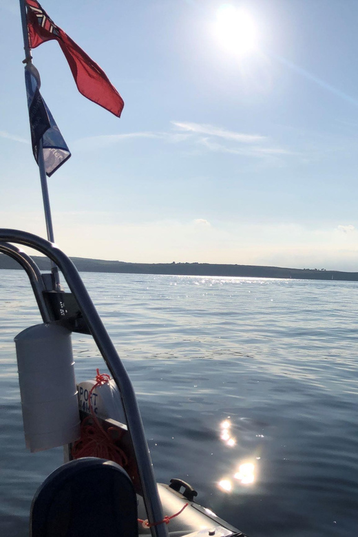 Falmouth: Two Hour RIB Tour - Wildlife and Sightseeing