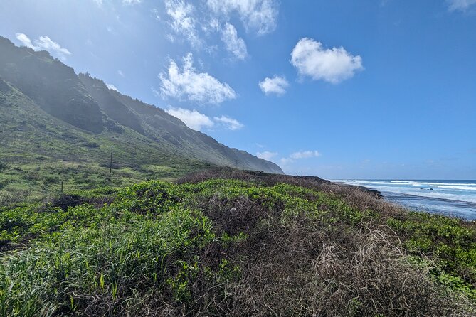 Famed North Shore Tour - Customer Feedback: Highlights