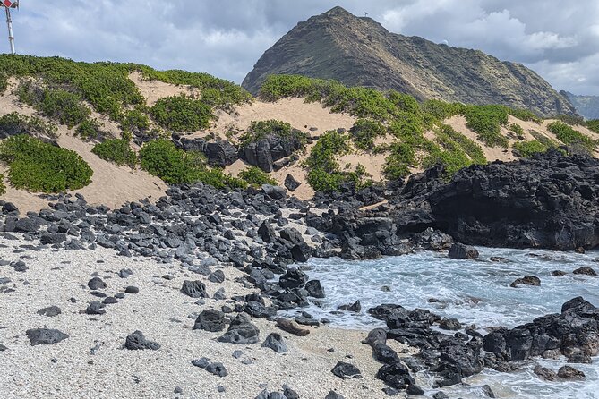 Famed North Shore Tour - Customer Recommendation
