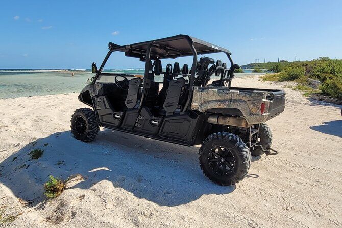 Family Adventure Buggy - Overview and What to Expect