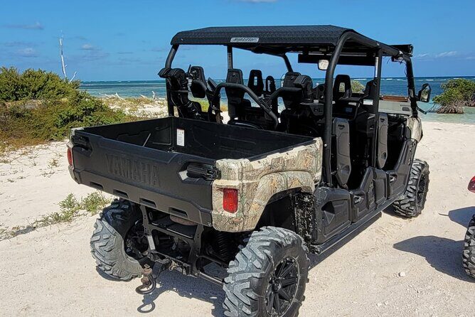 Family Adventure Buggy - Who Is This Tour Best For?