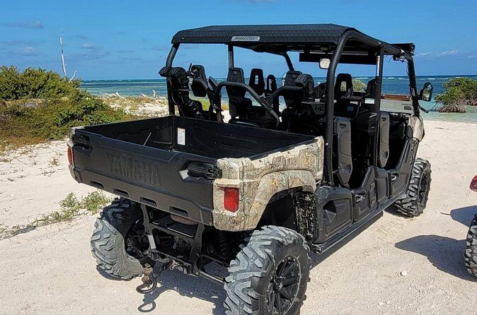 Family Adventure Buggy - Final Thoughts: Is It Worth It?