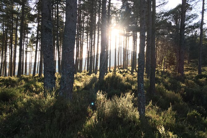 Family Bike Rides - Bike Hire & Guide for Off-road Cycling - Exploring the Lush Countryside