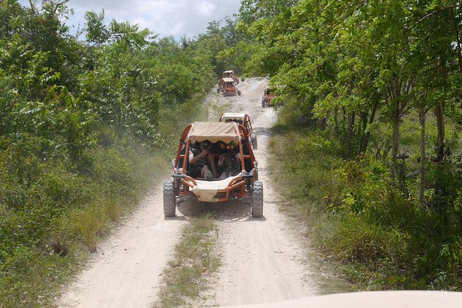 Family Buggy Adventure in Punta Cana - Tour Inclusions and Logistics