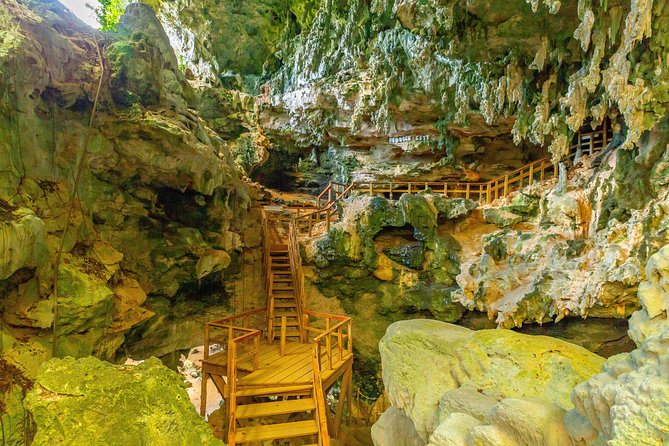 Family Buggy Adventure in Punta Cana - Group Size and Experience