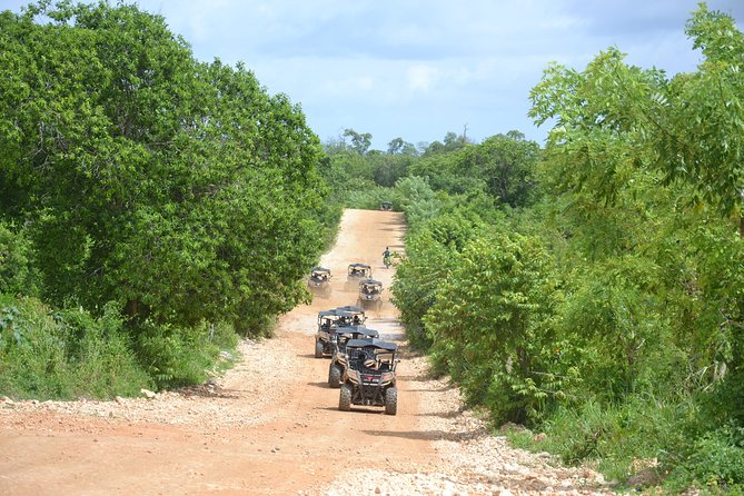 Family, Buggy Adventures, Tours, Macao Beach. Lowest Price. - Macao Beach Exploration
