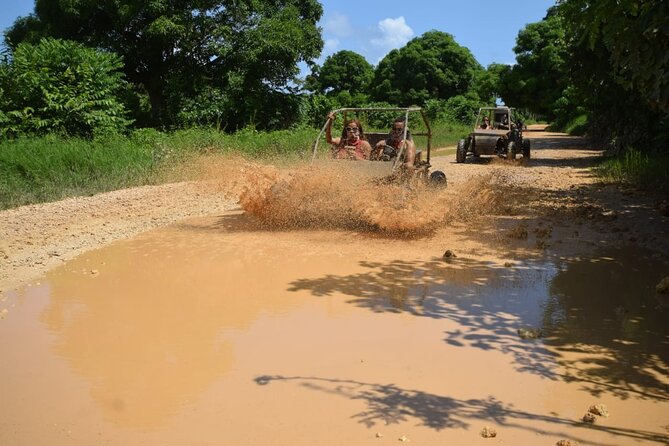 Family Buggy Ride Through the Dominican Countryside - Adventurous Buggy Ride Experience