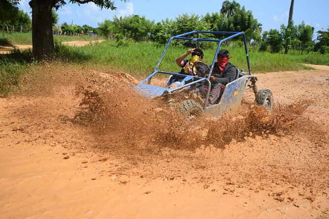 Family Buggy Ride Through the Dominican Countryside - Booking Your Stay