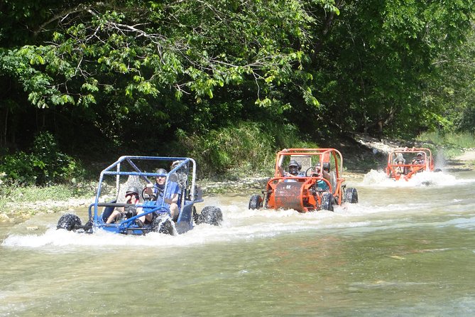 Family Buggy Tour - Tour Overview
