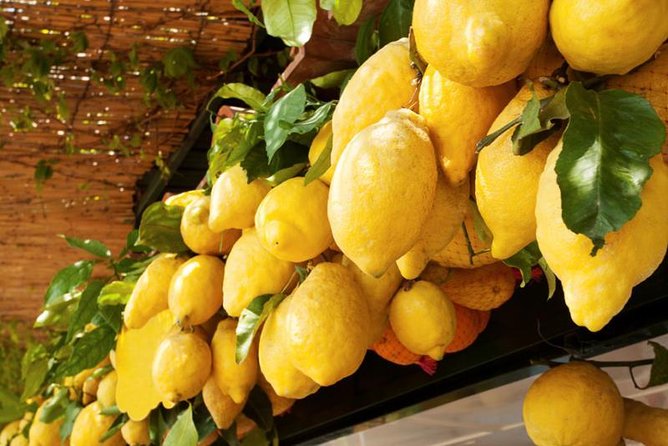 Family Farm Experience With Olive Oil Vegetables Limoncello and Grandmas Lunch - Customer Feedback