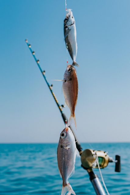 Family Fishing Fun With Nautica Massetti - Key Points
