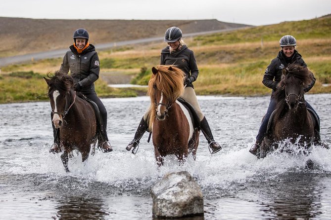 Family Friendly Horse Riding Tour in Skagafjörður - Inclusions