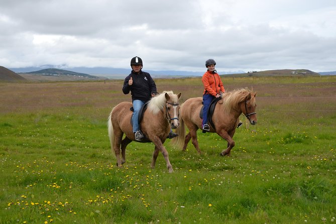 Family Friendly Horse Riding Tour in Skagafjörður - Meeting Information