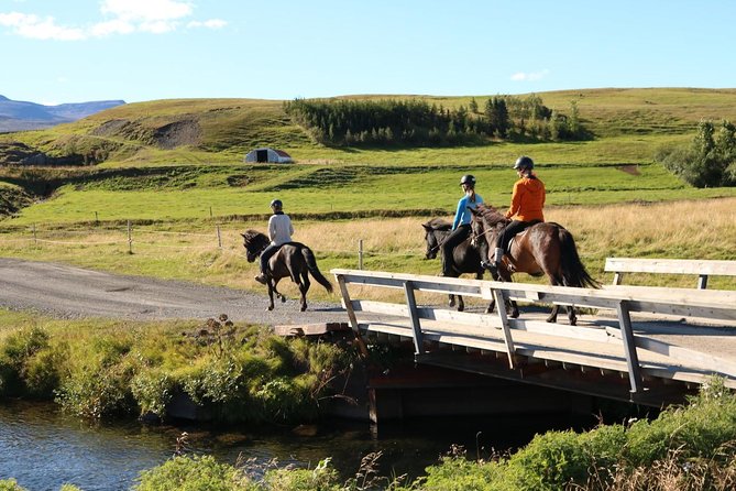 Family Friendly Horse Riding Tour in Skagafjörður - Cancellation and Booking