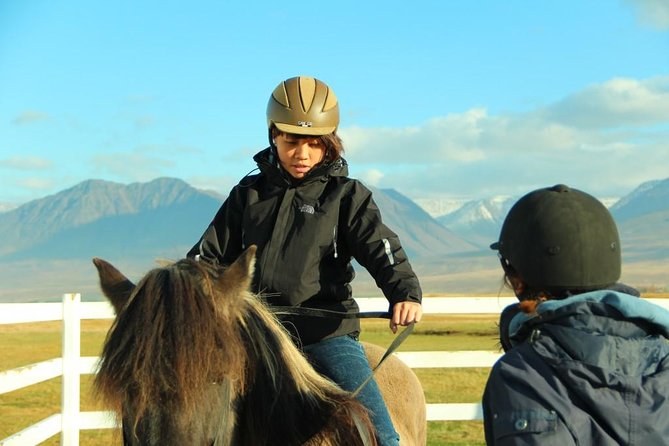 Family Friendly Horse Riding Tour in Skagafjörður - Group Size