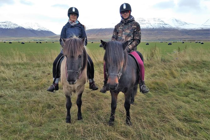 Family Friendly Horse Riding Tour in Skagafjörður - Weather Considerations