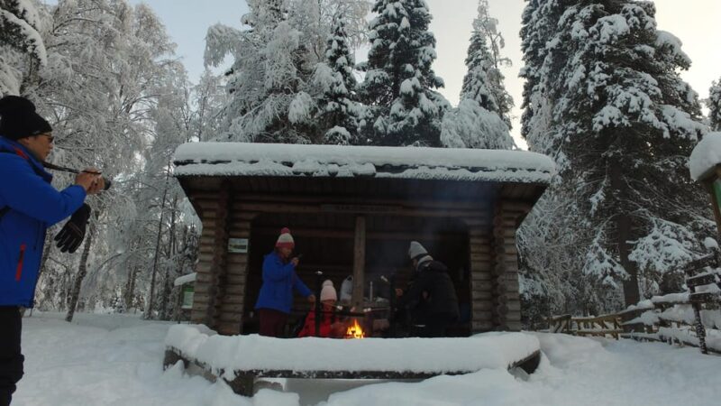 Family Friendly Korouoma National Park and Frozen Waterfalls - Customer Feedback