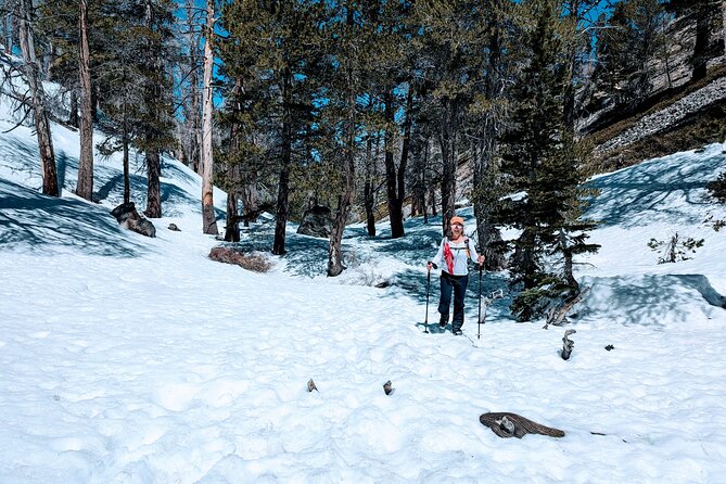 Family-Friendly Nature Hike Around the Big Bear Valley - Tour Schedule and Availability