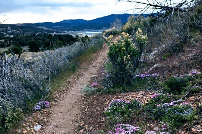 Family-Friendly Nature Hike Around the Big Bear Valley - Booking and Cancellation Policies