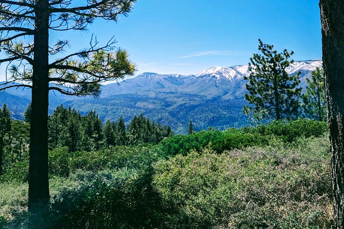 Family-Friendly Nature Hike Around the Big Bear Valley - Suitability for Family Outings