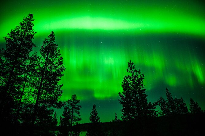 Family-Friendly: Northern Lights Adventure From Rovaniemi - Professional Aurora Guide Expertise
